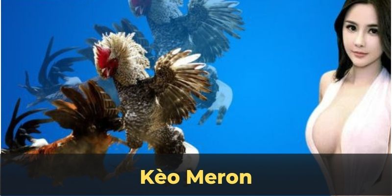 Kèo meron ảnh đại diện